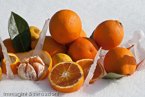 arance neve e ghiaccio